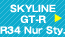 SKYLINE GT-R BNR34 Nur-Style Bulid